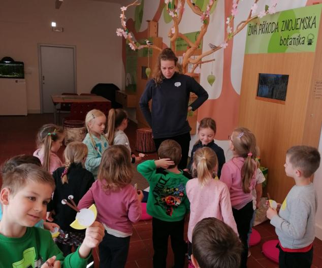 Edukační program Barevný život na louce - Jihomoravské muzeum Znojmo - Třída Sovičky 
